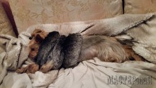 Увеличить 20152005115532.jpg 20152005115532.jpg