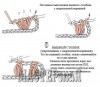 Сумочкадлясотовоговтехникефриформ