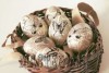 Ксения 68 - Винтажные яйца со шпагатом газетными и нотными страницами 