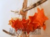 Ксения 68 - Апельсиново-мандариновые звездочки