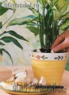 Ксения 68 - Натуральная защита и питание комнатных растений