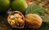 Ксения 68 - Варенье из зелёных грецких орехов (5 рецептов)