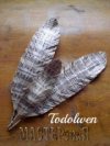 Ксения 68 - Перышки, розочки и бабочка из старых страниц