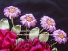 Ксения 68 - Хризантемы. Вышивка лентами. МК от Suzana Mustafa