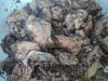 Курицапо-гурийски